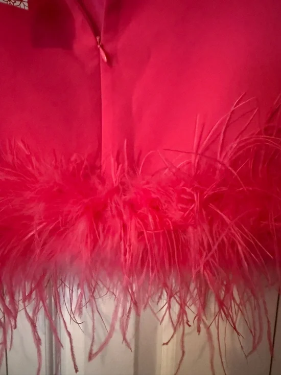 La’Ros Pink Feather Trim Crop Top NWT size large - Picture 8 of 9